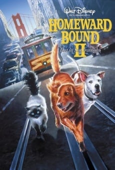 Homeward Bound II: Lost in San Francisco online kostenlos