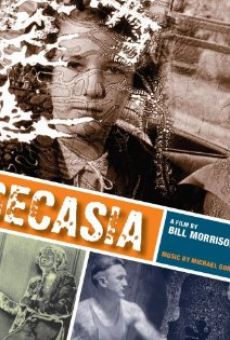 Ver película Decasia