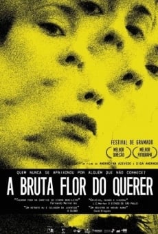 A Bruta Flor do Querer en ligne gratuit