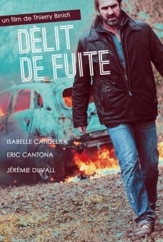 Délit de fuite on-line gratuito