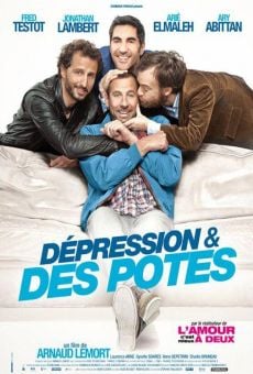 Ver película Dépression et des potes