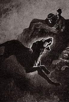 Der Hund von Baskerville: Das dunkle Schloß