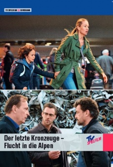 Der letzte Kronzeuge