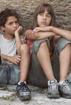 Des enfants dans les arbres