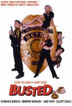 Busted en ligne gratuit