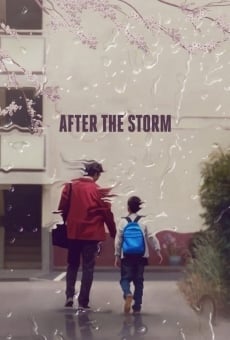 Ver película Después de la tormenta