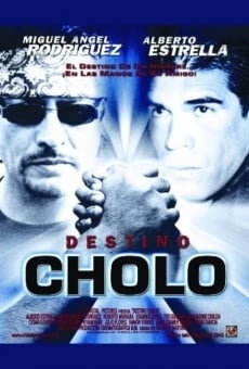 Destino Cholo online streaming