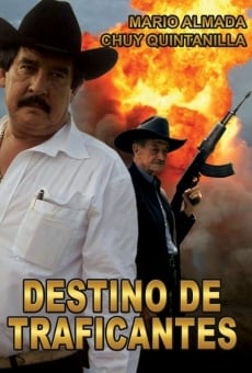 Ver película Destino de traficantes