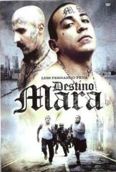 Destino Mara