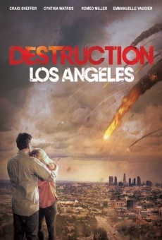 Destruction Los Angeles online