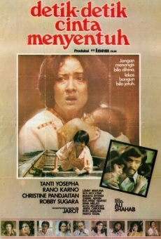 Ver película Detik Detik Cinta Menyentuh