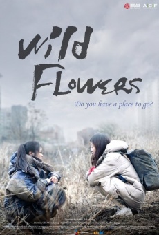 Ver película Flores silvestres