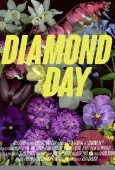 Ver película Diamond Day