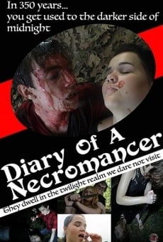 Diary of a Necromancer (2017)