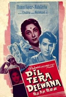 Ver película Dil Tera Diwana
