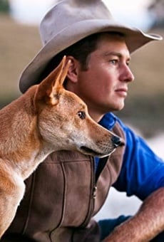 Watch Dingo: Wild Dog at War online stream