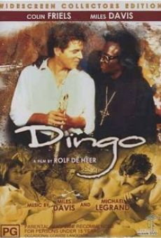 Dingo online streaming