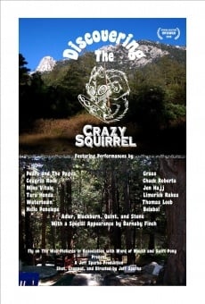 Discovering the Crazy Squirrel online