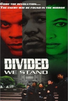 Divided We Stand