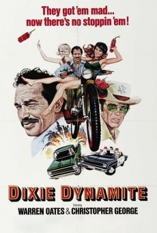 Dixie Dynamite online kostenlos