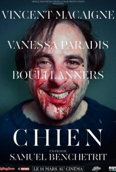 Chien streaming en ligne gratuit