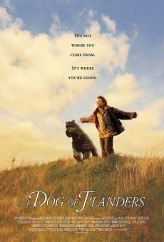 Ver película Dog of Flanders