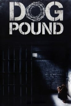 Dog Pound online kostenlos