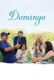 Domingo on-line gratuito