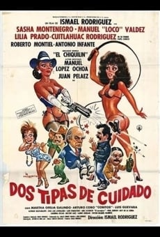 Ver película Dos tipas de cuidado