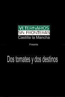 Dos tomates y dos destinos online