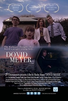 Ver película Dovid Meyer