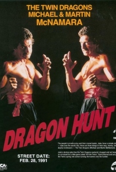 Dragon Kickboxers streaming en ligne gratuit