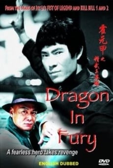 Dragon in Fury en ligne gratuit