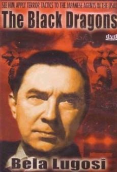 Black Dragons online streaming