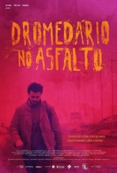 Dromedário no asfalto on-line gratuito