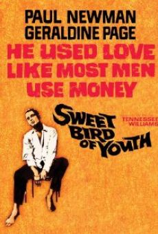 Sweet Bird of Youth stream online deutsch