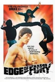 La fureur du kung-fu en ligne gratuit