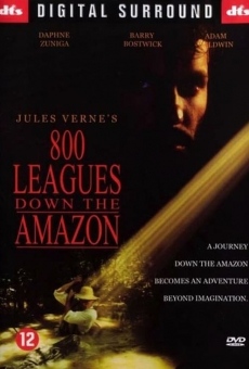 Eight Hundred Leagues Down the Amazon on-line gratuito