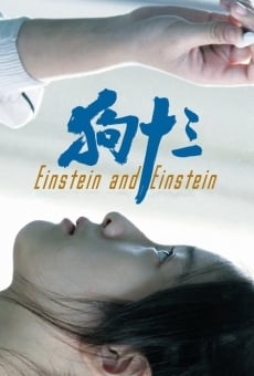 Einstein and Einstein en ligne gratuit