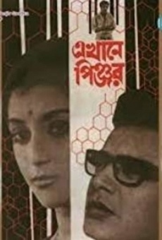 Ekhane Pinjar online streaming