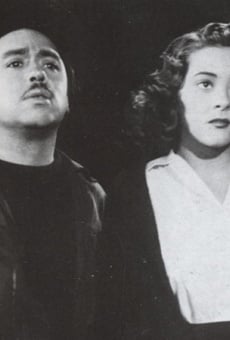 El amor no es ciego streaming en ligne gratuit
