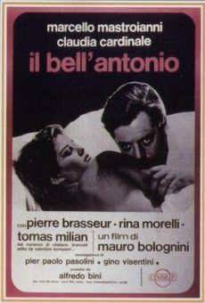 Il bell' Antonio online streaming
