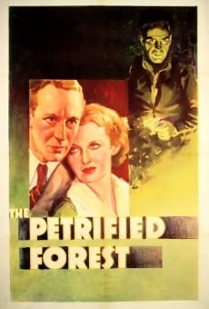 The Petrified Forest on-line gratuito