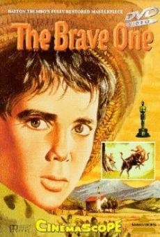 The Brave One online kostenlos