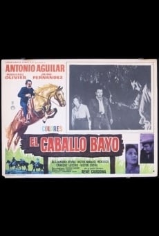 El caballo Bayo online