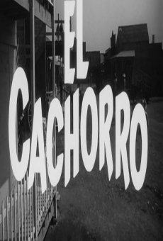 El cachorro stream online deutsch