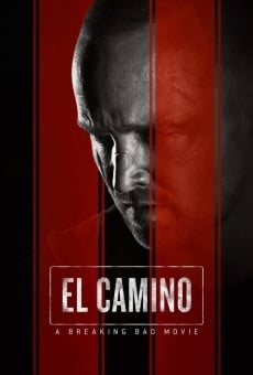 El Camino: Ein Breaking-Bad-Film