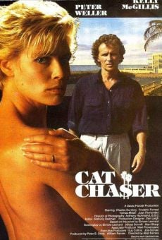 Cat Chaser en ligne gratuit