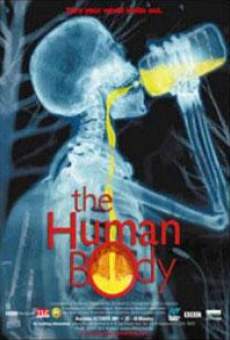 The Human Body online streaming
