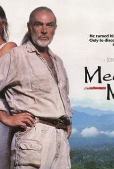 El curandero online streaming